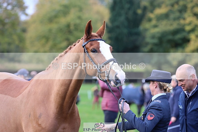 251026A-103239-23084 - E-387-Vittoria.Panizzon