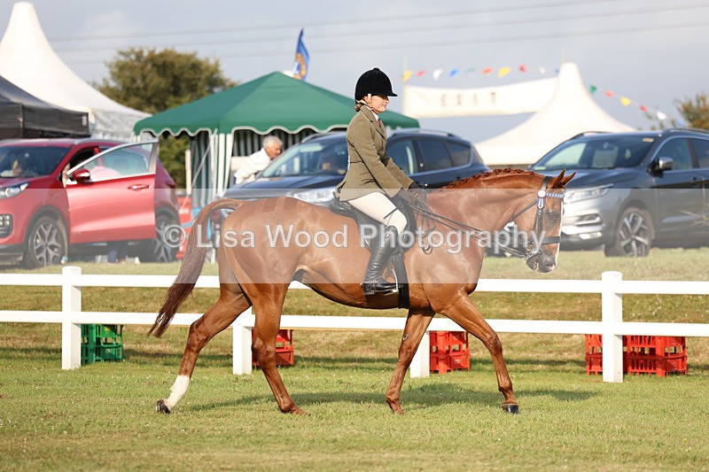 3E7A7648 - Class 1: Rising Star Small Hack/Riding Horses