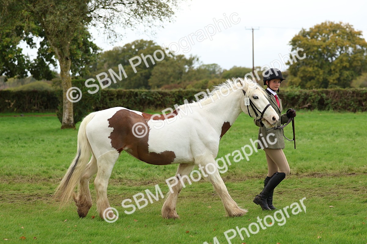 SBM_41697 - S26 - Mature Veteran In Hand