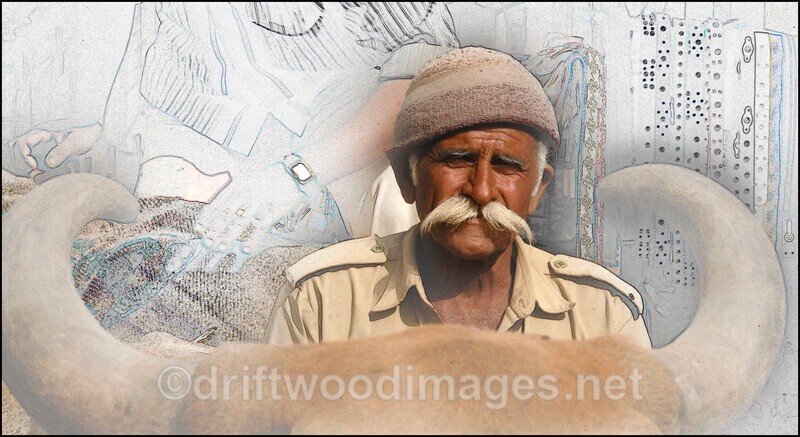 Porbander India bullock cart driver - India