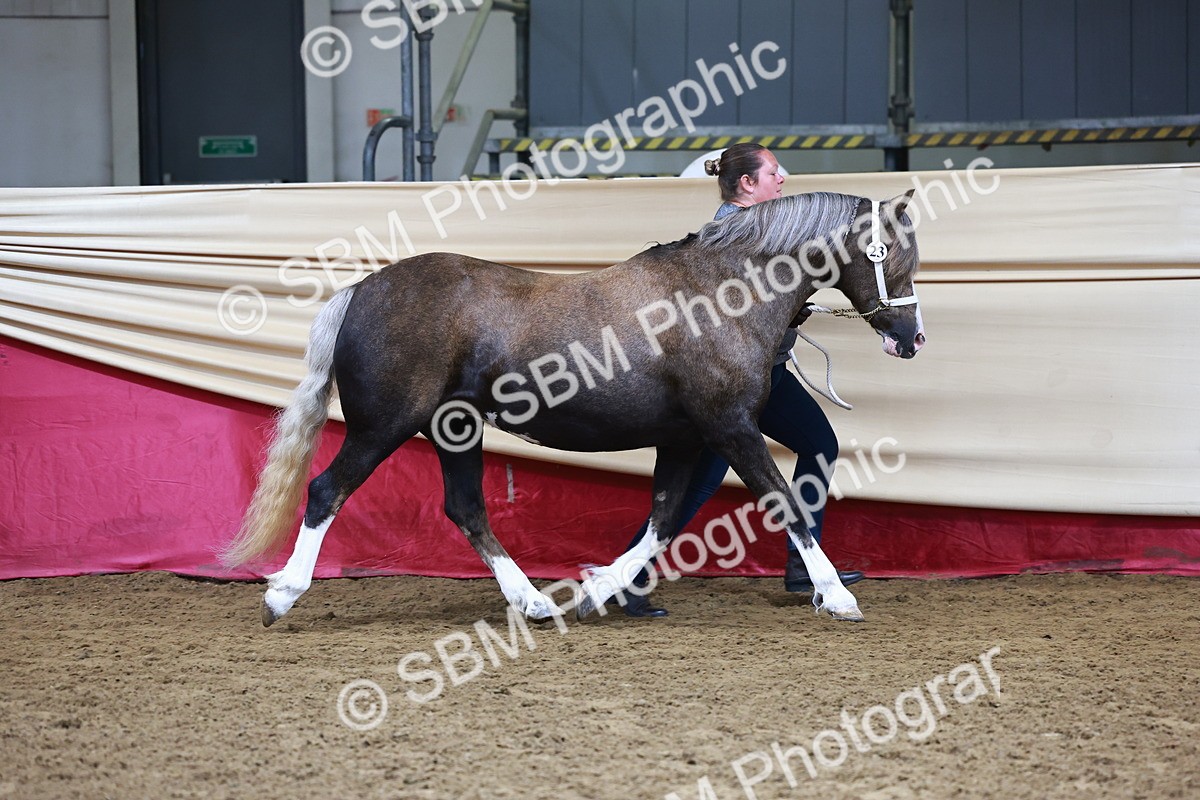 SBM_22141 - Class 902 - Supreme Final - IH Diamond