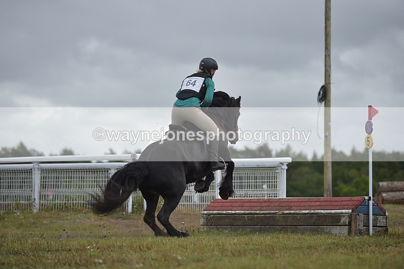 NGP_2783 - XC Time 11:37 to 11:57