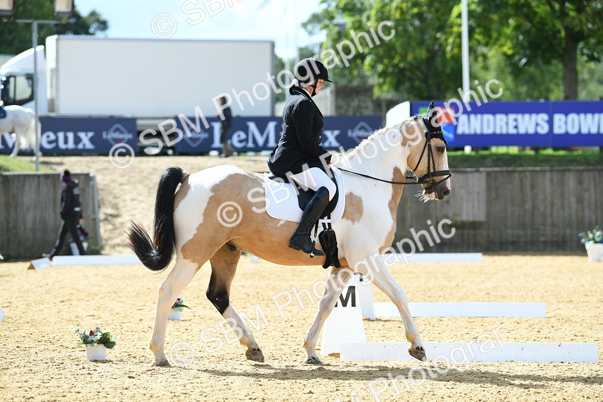 SBM_04446 - D7 Small Tour Championship Prelim 1