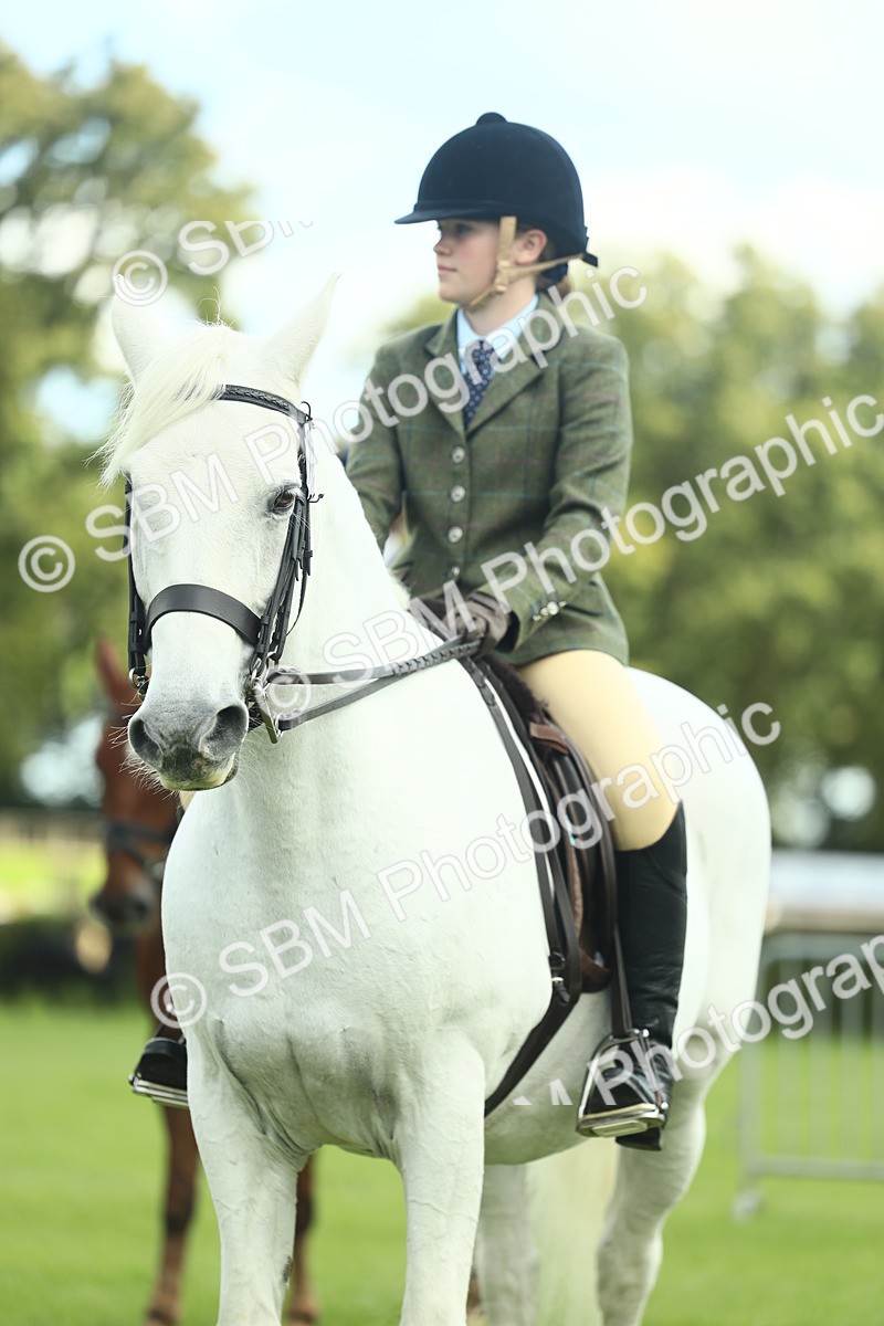 SBM_42159 - S29 - Novice & Newcomers Working Hunter Pony