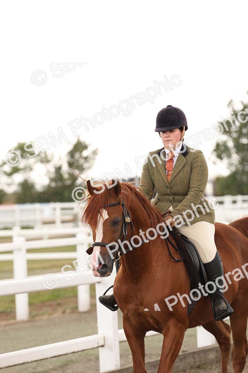 SBM_07593 - Class 59b -  Style & Performance - 80cm (20+)