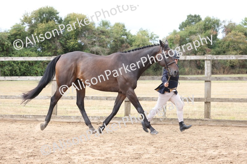 20260831-1906 - Class 5 - Retraining of Racehorses