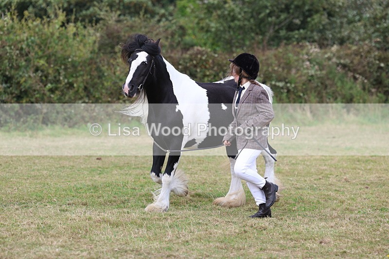 3E7A5390 - Class 19: Best Coloured in Hand