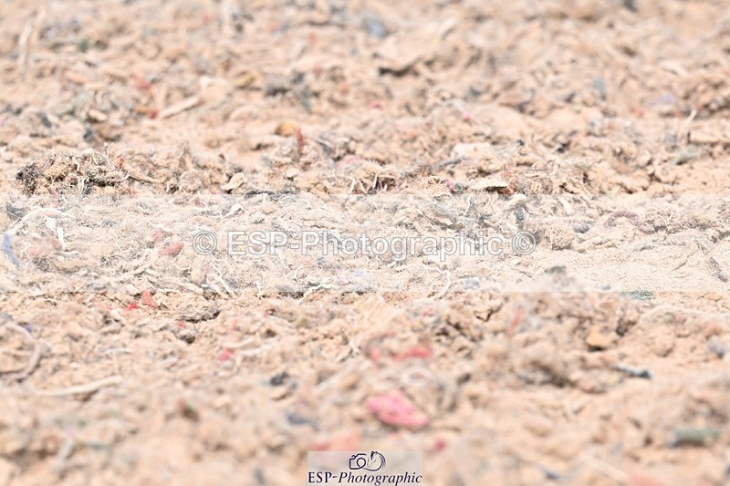 250621-134621-08709 - Cls 29 - Elementary 5, Start to 14.10