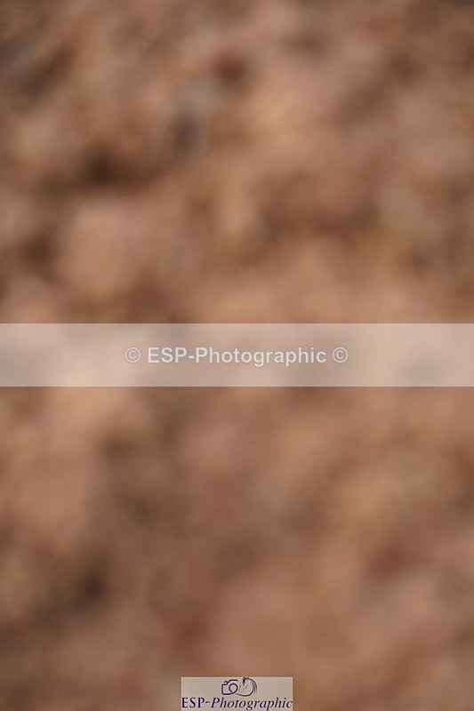 240628A-191108-00994 - Cls 3 1m Open