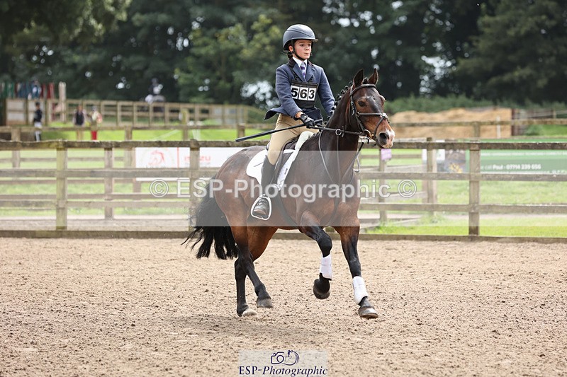 240804-134507-14429 - 563-Florence_Caswell-HOLNEST_FRODO_BAGGINS