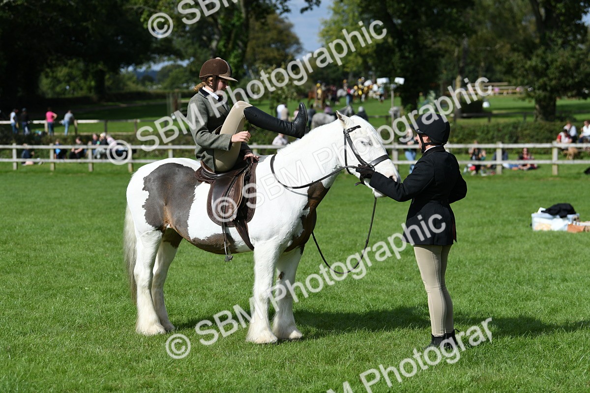 SBM_47025 - S12 - Family Horse & Pony