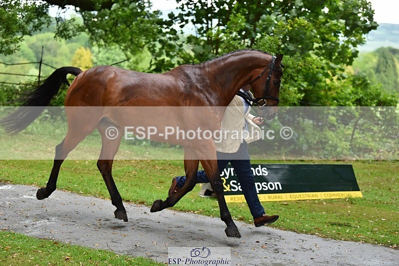 240522-152112-00283 - 324-COOMBELAND_SEMILLY-Rupert_Batting