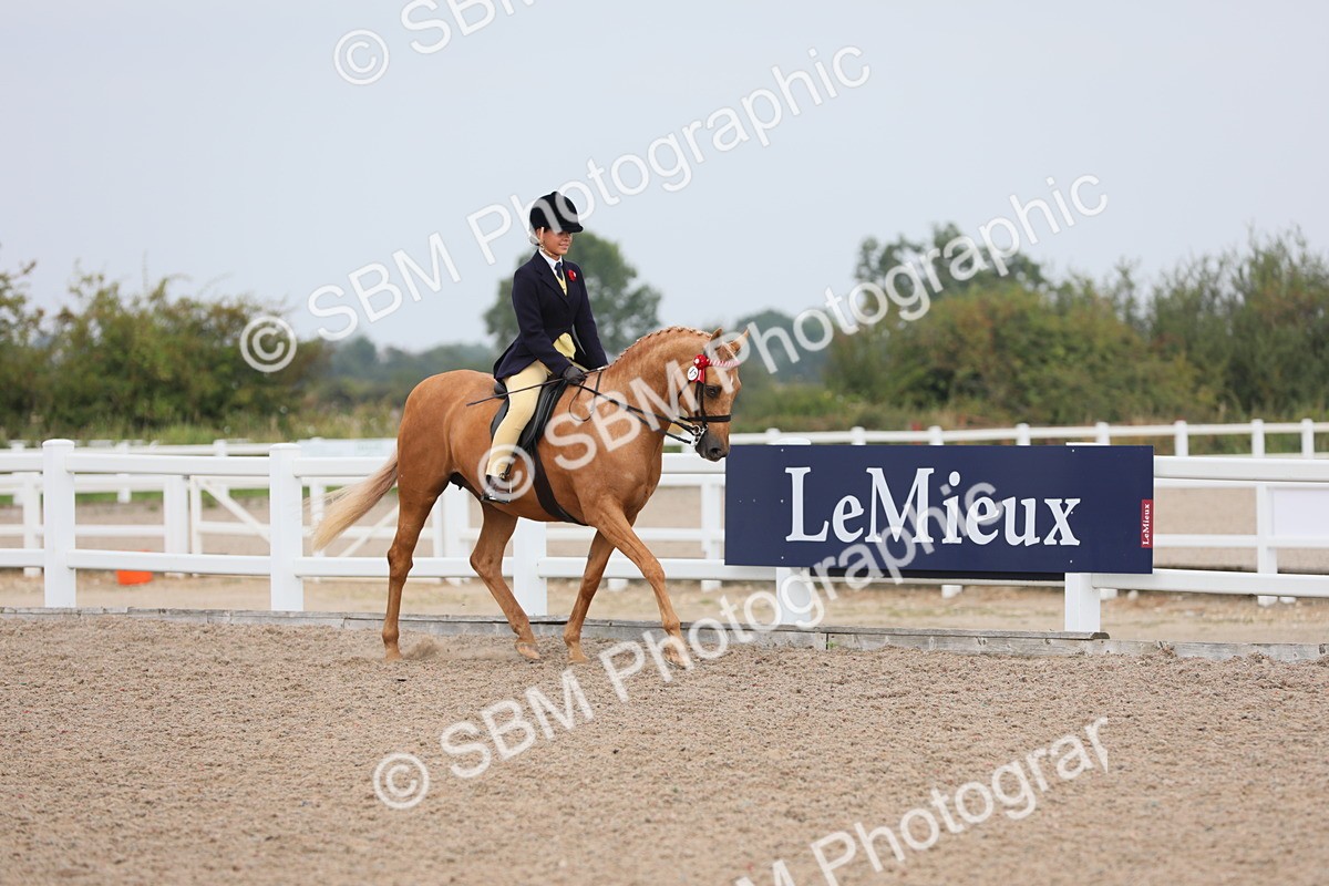 SBM_12669 - Class 307 Ridden Coloured Pony