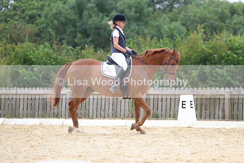 3E7A7232 - Class 9: Elementary 4 2024 - No sections