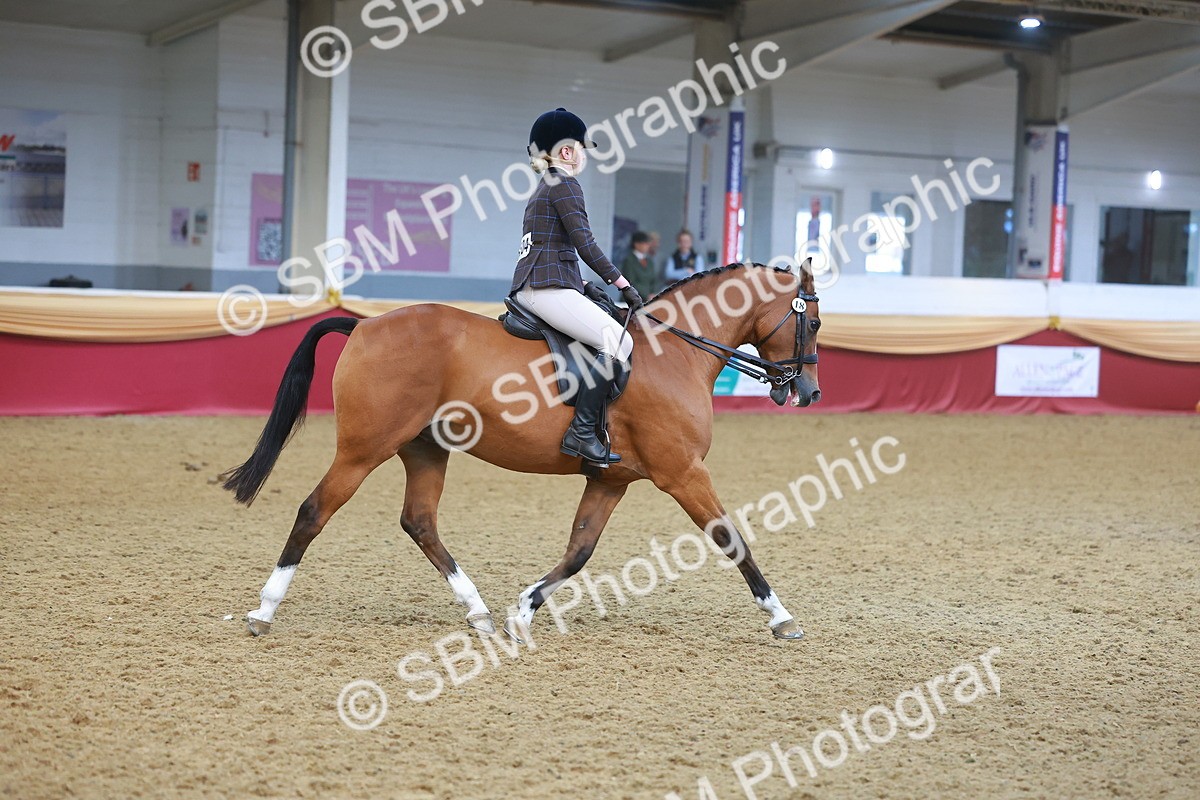SBM_12545 - Class 103 - HOYS Veteran Qualifier - Ridden Pre Vet