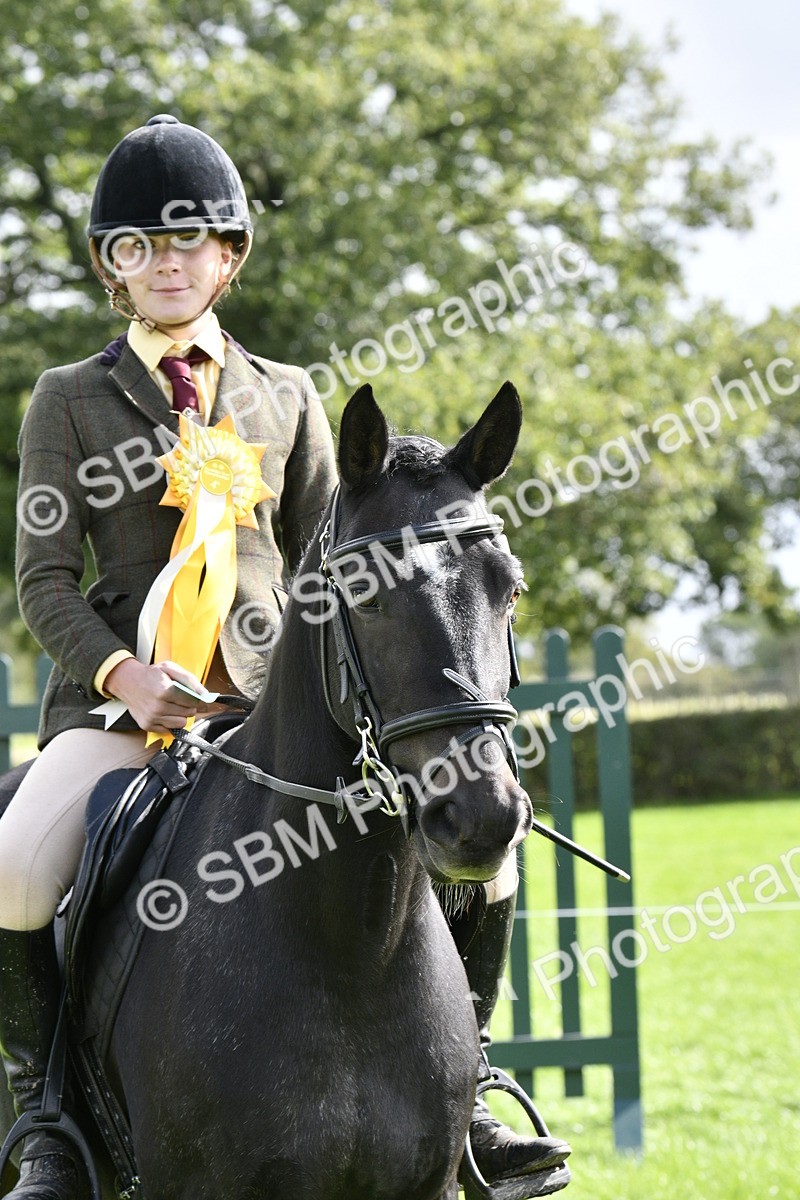 SBM_41655 - S32 - Mountain & Moorland Working Hunter Pony