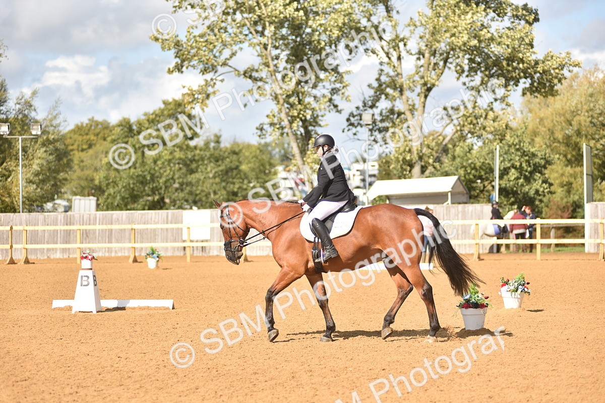 SBM_48756 - D22 - Junior Championship Intro 3