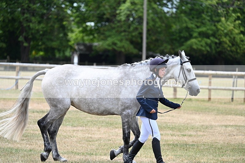 WJ7_1872 - Class 4a Prettiest Mare 14.2hh and over hand