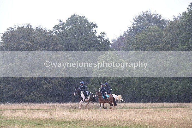 DSC_3042 - Time at Statue 12:59 to 13:49