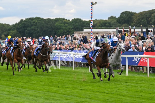 210825-Race 1-Royal Fixation-3587 - Race 1 1.50pm Sky Bet Lowther Stakes