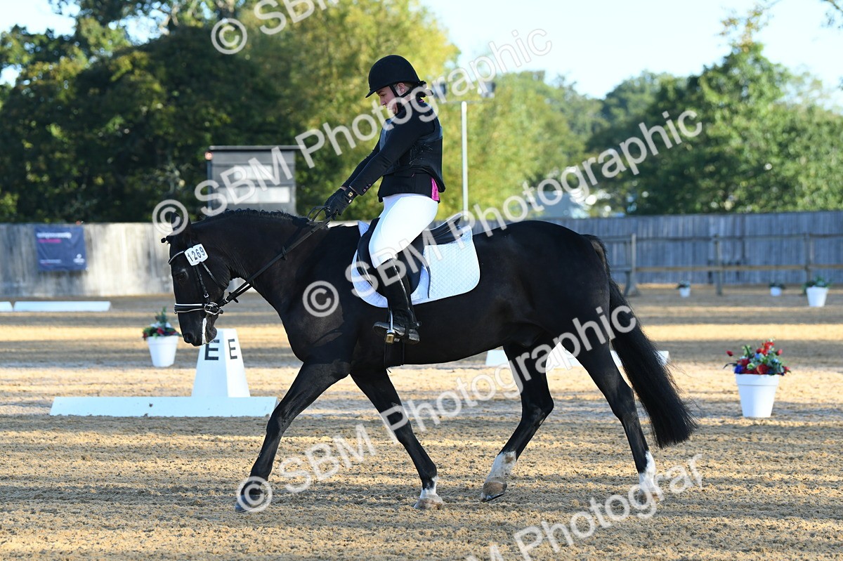 SBM_14289 - D4 - Small Tour Championship - Intro B