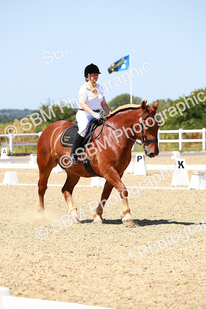 SBM_011796 - Intro 3 - 13.00-14.10