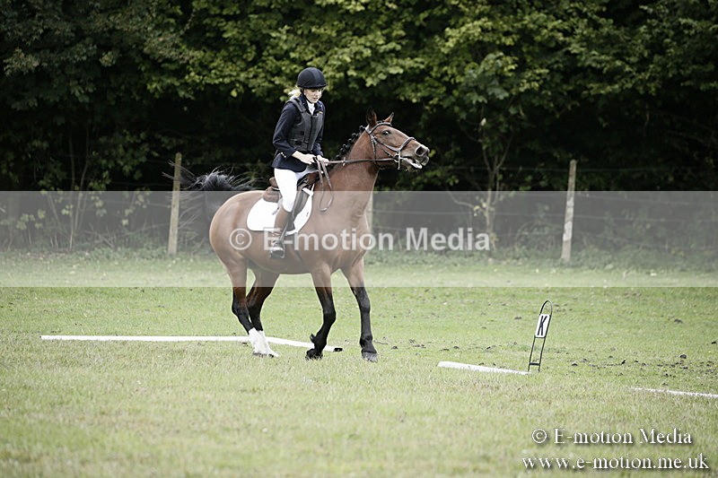 BVR080918 17 - BVRC Novice Dressage & CR 08/09/18