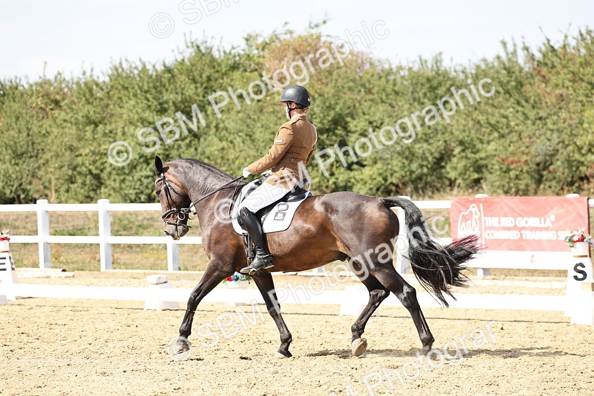 SBM_014902 - Class 7 - Medium 3