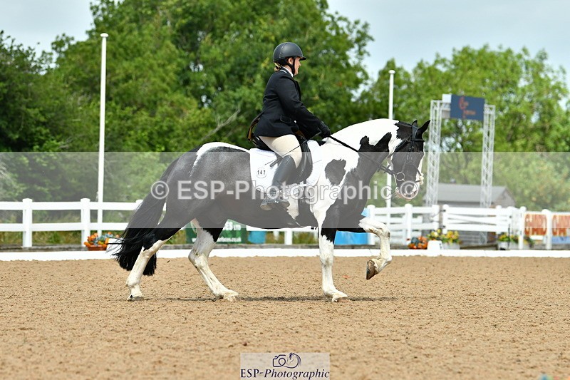 230702A-131052-09798 - Cls 28 Elementary 45