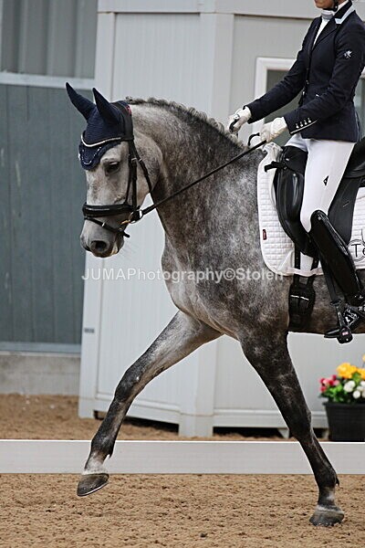 SIAL8296 - GDG Bogenraith Friday 26th Sept 2025