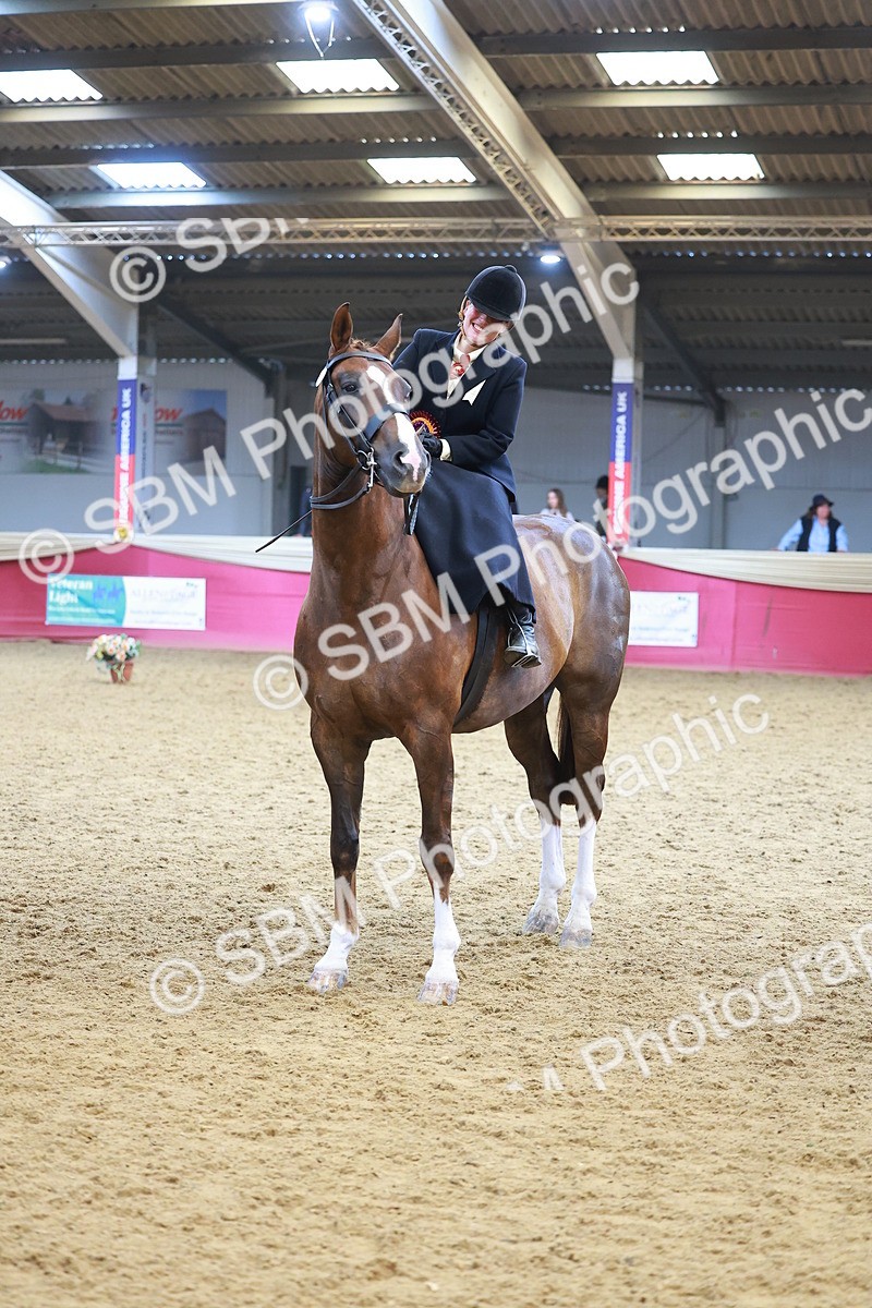 SBM_12690 - Class 103 - HOYS Veteran Qualifier - Ridden Pre Vet