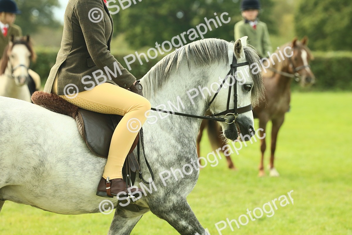 SBM_69843 - S59 - Mountain & Moorland Ridden Small Breeds