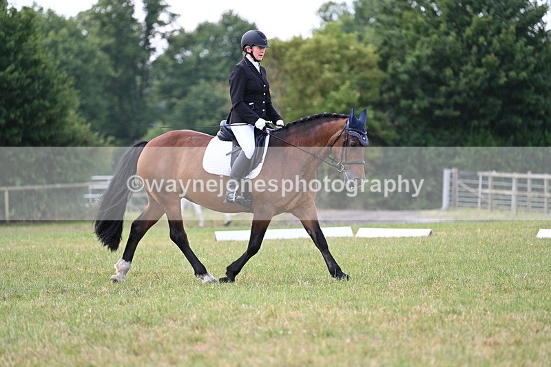 WJ7_5312 - Time 11:22 to 11:51