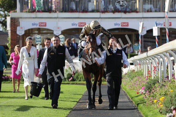 yr20082022r7-38 - Race 7 5.20pm Sky Bet Finale Stakes