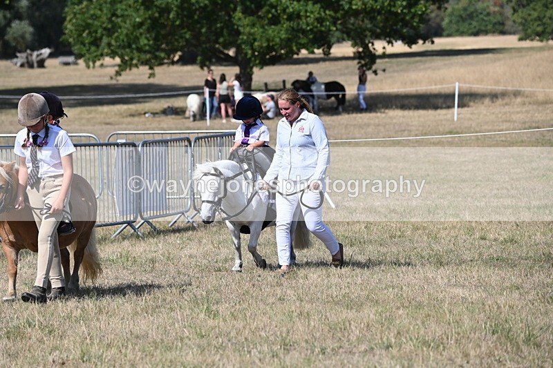 WJ6_9490 - Class 40 Cheekiest Pony/Horse