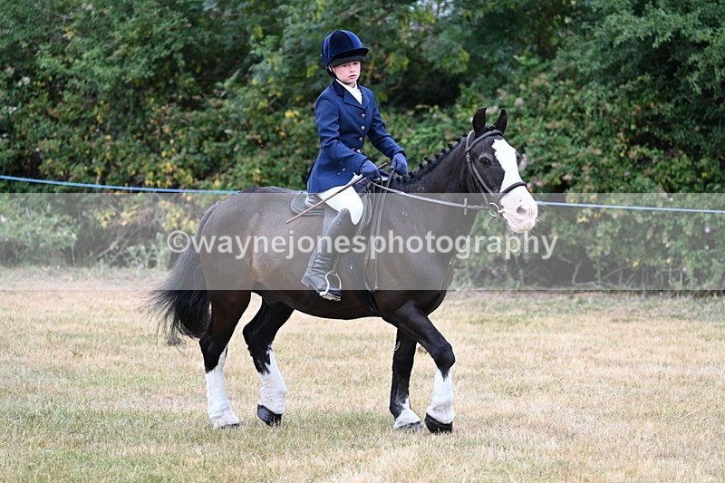 WJ7_0344 - Class 2 Best rider