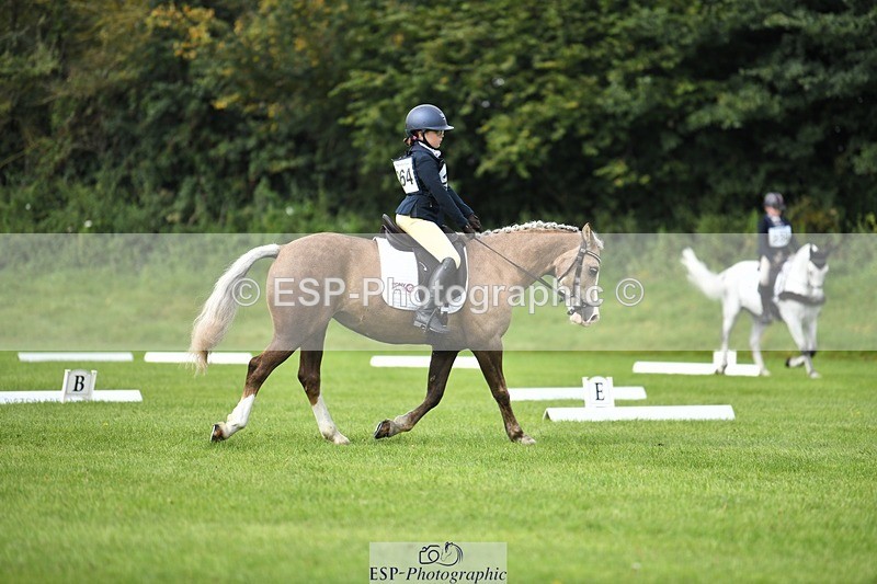 230826-102630-15477 - Sections C & D 10 to End