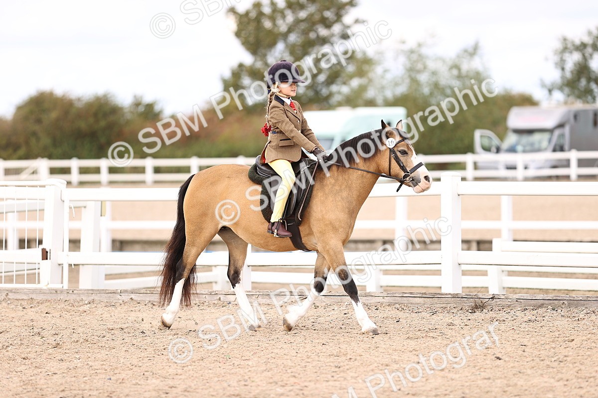 SBM_15935 - Class 416 - Prettiest Mare (IH or Ridden) Jnr