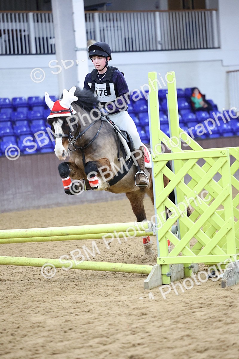 SBM_001110 - Class 3 - Christmas Tree Stakes - 60cm