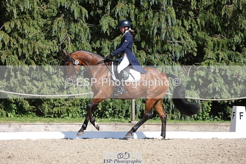 230526-162622-07818 - 171-SLANEYSIDE_COOLEY-Lara_Chapple-WEDTrotUp+DR