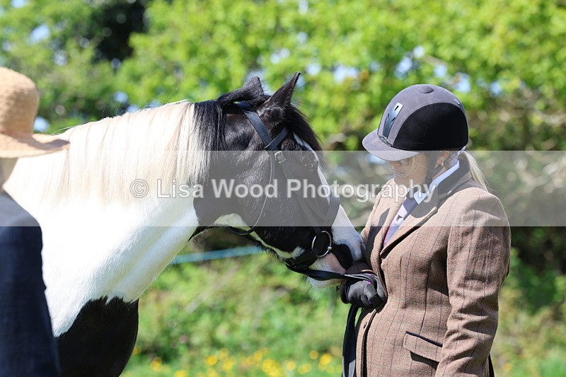 3E7A0334 - Class 19: Best Coloured in Hand