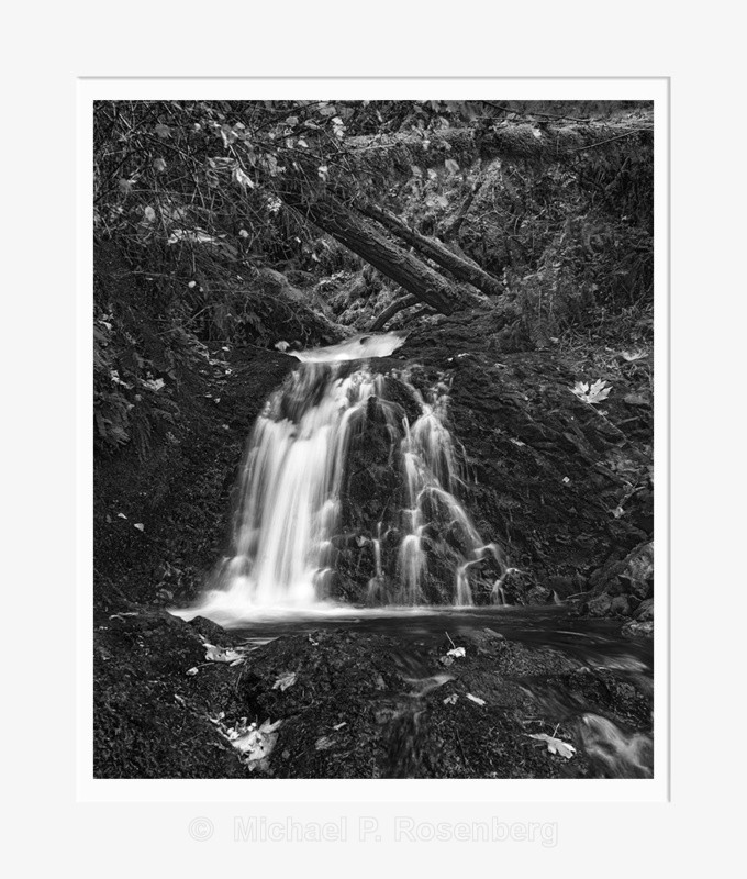 Fallen Leaves and Wet Rocks, Shepherds' Fall (2014/D01148) - CALIFORNIA, OREGON, AND WASHINGTON STATES