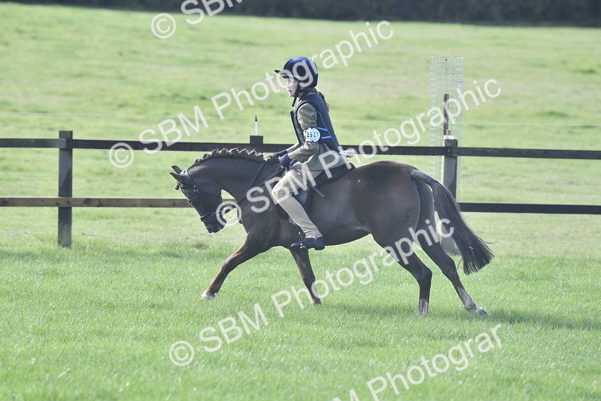 SBM_37219 - S31 - Novice & Newcomer Working Hunter Pony