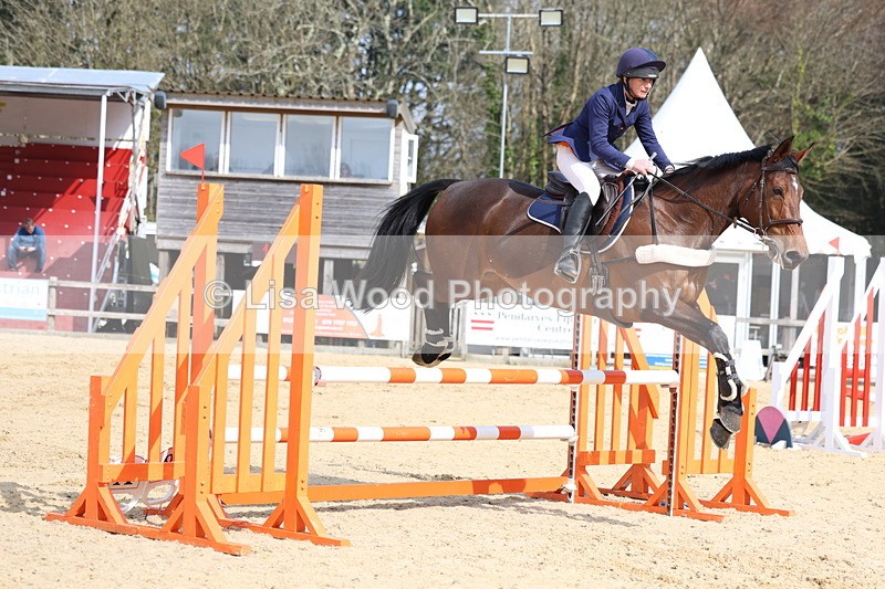 3E7A6746 - Class 4: Senior British Novice/90cm open