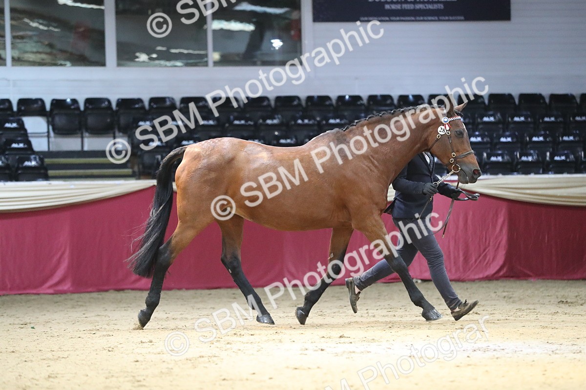 SBM_04350 - Class 7R Regional - IH Diamond