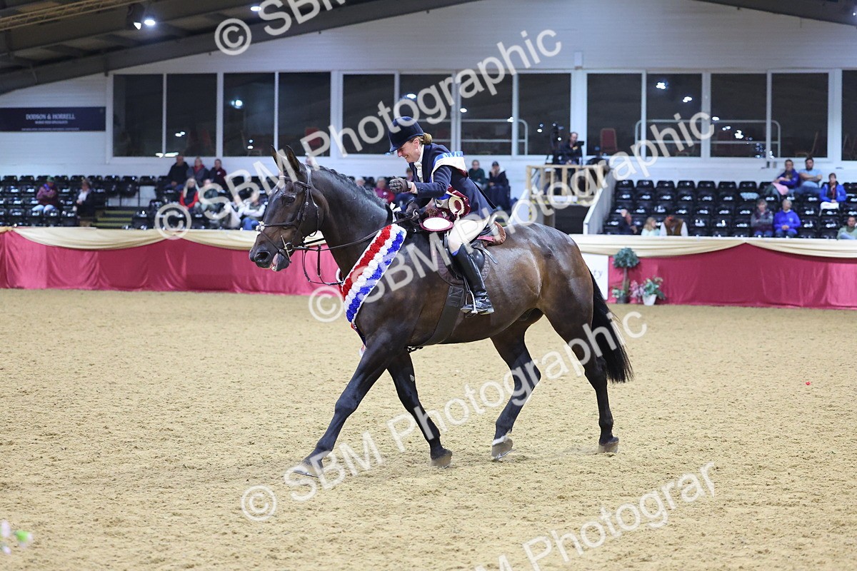 0B8A4706 - Class R Working Veteran Champ