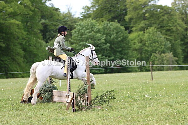 IMG_2551 - Working Hunter