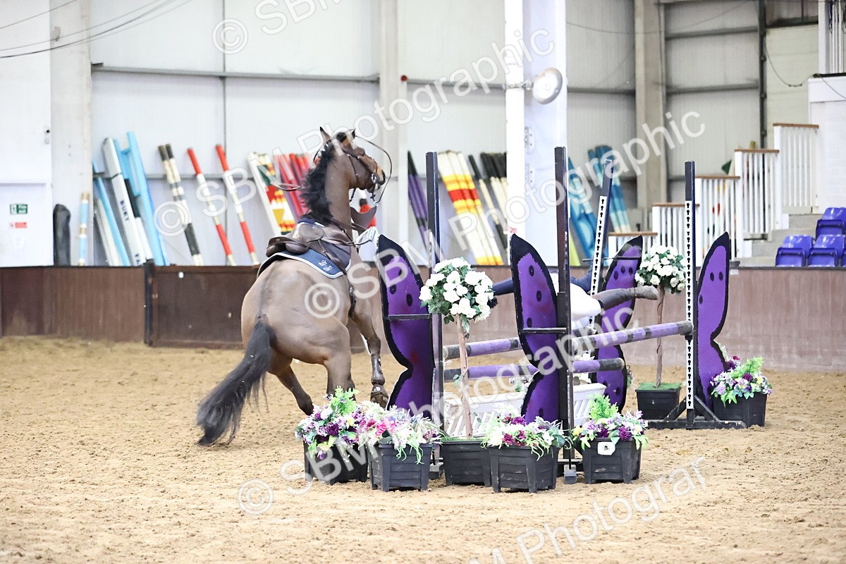 SBM_004007 - Class 14 - Senior British Novice - 90cm