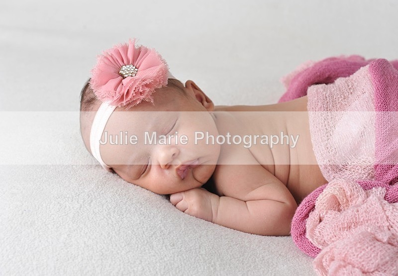 DSC_5022 - shannon