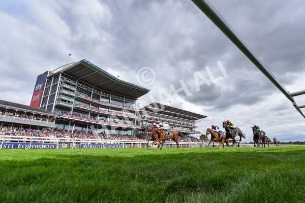 210825-Race 5-Charlottes Web-9161 - Race 5 4.10pm British EBF & Sir Henry Cecil Galtres Stakes